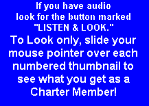 Text Changes as Thumbnails are Moused Over